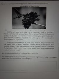 Base your answer on the following passage and on your knowledge of biology.
Hummingbirds Are Sugar Junkies
Source: http://bug-bird.com/hummingbirds-large-images/
Most humans enjoy candy, cake, and ice cream. As a result of evolutionary
history, we have a wide variety of tastes. This is not true of all animals. Cats do not
seek sweets. Over the course of their evolutionary history, the cat family tree lost a
gene to detect sweet flavors. Most birds also lack this gene, with a few exceptions.
Hummingbirds are sugar junkies.
Hummingbirds evolved from an insect-eating ancestor. The genes that detect
the savory flavor of insects underwent changes, making hummingbirds more
sensitive to sugars. These new sweet-sensing genes give hummingbirds a preference
for high-calorie flower nectar. Hummingbirds actually reject certain flowers whose
nectar is not sweet enough!
Discuss how sweet sensitivity in hummingbirds has developed.
Describe how the fossil record of hummingbird ancestors might be used to learn more about
the evolution of food preferences in hummingbirds
