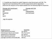 4. A peptide was cleaved into smaller fragments using chymotrypsin and CnBr. The
fragments were separated by HPLC and then sequenced by Edman degradation.
Determine the sequence of the original peptide from the following fragment sequences.
Cleavage with chymotrypsin
Cleavage with CnBr
EAGPDGMECAF
ЕCAFHR
GPF
CKWEAGPDGM
EAAMCKW
IAHTYGPFEAAM
HR
ТАНТY
-align the peptides
Reagent (source)
Trypsin (bovine pancrease)
Chymotrypsin (bovine pancrease)
Staphylococcus V8 protease
Pepsin (porcine pancrease)
Cyanogen bromide (chemical)(CnBr)
Specificity
Lys, Arg (C)
Phe, Trp, Tyr (C)
Glu, Asp (C)
Phe, Trp, Tyr (N)
Met (C)
