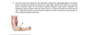 3. From the results you obtained in this laboratory, compute the net muscle force in the biceps
brachii necessary to maintain the forearm at a right angle relative to the upper arm using the
centre of gravity values for the forearm segment obtained using Clauser, Dempster and
Zatsiorsky's tables and given that the muscle inserts 5 cm from the elbow joint (think back to
Lab 5 - Moments of Force). Assume that the muscle acts at 90° to the forearm and that there is
not an additional weight in the hand.
cg