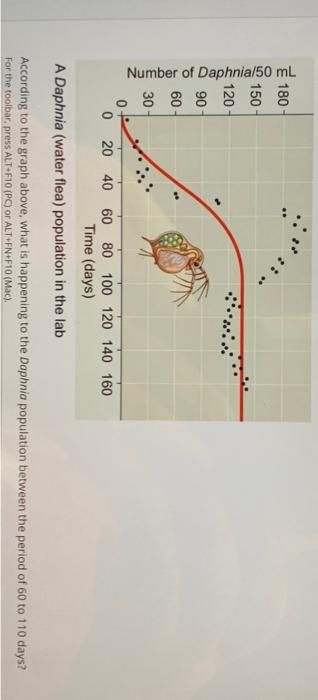 Number of Daphnia/50 mL
180
150
120
90
60
30
0-
0 20 40 60 80 100 120 140 160
Time (days)
A Daphnia (water flea) population in the lab
According to the graph above, what is happening to the Daphnia population between the period of 60 to 110 days?
For the toolbar, press ALT+F10 (PC) or ALT+FN+F10 (Mac).