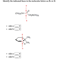 Identify the indicated faces in the molecules below as Re or Si.
a
(CH3)2CH-
CH2N(CH3)2
• side a:
• side b:
a
CH3
CH3
• side a:
side b:
