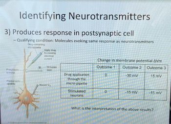 Answered: Identifying Neurotransmitters 3)… | bartleby