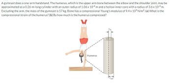 A gymnast does a one-arm handstand. The humerus, which is the upper arm bone between the elbow and the shoulder joint, may be
approximated as a 0.26-m-long cylinder with an outer radius of 1.06 x 10-2 m and a hollow inner core with a radius of 3.6 x 10-³ m.
Excluding the arm, the mass of the gymnast is 57 kg. Bone has a compressional Young's modulus of 9.4 x 10⁹ N/m². (a) What is the
compressional strain of the humerus? (b) By how much is the humerus compressed?
Humerus
out