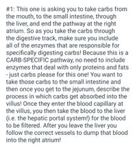 #1: This one is asking you to take carbs from
the mouth, to the small intestine, through
the liver, and end the pathway at the right
atrium. So as you take the carbs through
the digestive track, make sure you include
all of the enzymes that are responsible for
specifically digesting carbs! Because this is a
CARB-SPECIFIC pathway, no need to include
enzymes that deal with only proteins and fats
- just carbs please for this one! You want to
take those carbs to the small intestine and
then once you get to the jejunum, describe the
process in which carbs get absorbed into the
villus! Once they enter the blood capillary at
the villus, you then take the blood to the liver
(i.e. the hepatic portal system!) for the blood
to be filtered. After you leave the liver you
follow the correct vessels to dump that blood
into the right atrium!
