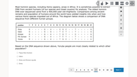 KO> O
Most hominin species, including Homo sapiens, arose in Africa. It is sometimes possible to extract
DNA from ancient humans (of our species and closet cousins) for analysis. The oldest hominin
DNA ever sequenced came from a 400,000-year-old thighbone. Comparisons among ancient
remains and population of humans around the world have yielded insights into when and how
various Homo species migrated out of Africa. The diagram below shows a comparison of DNA
sequence from different human groups.
position
1
2 3
4
5
6
7
8
9
10 11 12 13 14 15 16 17 18 19 20 21
首
Dinka
G
G
A
C G C
T
G
Italian
G
T.
C T
T.
G
Khoisan
G
A
G T
C
G
TC T
T G C
P.N. Guinean
A
G
A
G
Yoruba
G
G
A
T
A
Based on the DNA sec
shown above, Yoruba people are most closely related to which other
population?
O Papua New Guinean
O Italian
O Dinka and Khoisan equally
O Dinka
4
5
6
7
8
10
11
Next >
囲
