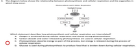 The diagram below shows the relationship between photosynthesis and cellular respiration and the organelles in
which they occur.
3.
Photosynthesis and Cellular Respiration
Sunlight Energy
Carbon Dioxide
Glucose
+
Water
Oxygen
ATP
Which statement describes how photosynthesis and cellular respiration are interrelated?
A.
Oxygen is produced during cellular respiration and stored during photosynthesis.
Carbon dioxide and water released by photosynthesis are used in cellular respiration.
C.
В.
Photosynthesis absorbs energy as part of the process, but energy is released during the process of
cellular respiration.
D.
Glucose is used during photosynthesis to produce food that is broken down during cellular respiration.
