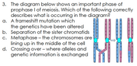 3. The diagram below shows an important phase of
prophase I of meiosis. Which of the following correctly
describes what is occurring in the diagram?
a. A frameshift mutation which
the genetics have been altered
b. Separation of the sister chromatids
c. Metaphase – the chromosomes are
lining up in the middle of the cell
d. Crossing over – where alleles and
genetic information is exchanged
A
B
B
C
di
G
H
h
K
K
