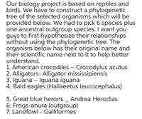 Our biology project is based on reptiles and
birds. We have to construct a phylogenetic
tree of the selected organisms which will be
provided below. We had to pick 6 species plus
one ancestral outgroup species. I want you
guys to first hypothesize their relationships
without using the phylogenetic tree. The
organism below has their original name and
their scientific name next to it to help better
understand.
1. American crocodiles – Crocodylus acutus
2. Alligators- Alligator mississipiensis
3. Iguana - Iguana iguana
4. Bald eagles (Haliaeetus leucocephalus)
5. Great blue herons _ Andrea Herodias
6. Frogs-anura (outgroup)
7. Landfowl - Galliformes
