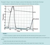 The graph in Figure 1 shows the changes in pressure that takes place in the left side of the heart.
Use the graph to calculate the heart rate in beats per minute. Show your working.
16
14
12
aorta
10
8
left ventricle
4
0.2
left atrium
0.4
Time/s
0.6
0.8
1.0
FIGURE 1
In terms of pressure, explain why the valve between the left ventricle and Aorta opens at time T.
For how long is the valve between the left atrium and left ventricle closed? Explain how you arrived at your
answer.
Explain why pulse rate and heart rate are the same.
The heart rate increases during exercise. Explain clearly what causes the increase in heart rate.
Pressure/kPa
