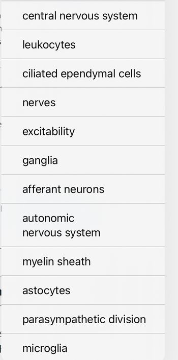 central nervous system
leukocytes
ciliated ependymal cells
nerves
excitability
ganglia
afferant neurons
autonomic
nervous system
myelin sheath
astocytes
parasympathetic division
} microglia