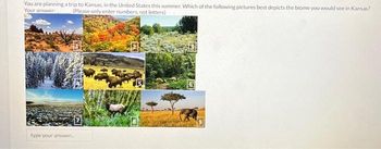 You are planning a trip to Kansas, in the United States this summer. Which of the following pictures best depicts the biome you would see in Kansas?
Your answer: (Please only enter numbers, not letters)
type your answer....