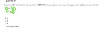 QUESTION 27
If you mixed SDS with the protein below and ran it in SDS-PAGE, how many bands would you expect to appear on the gel after coomassie staining?
-s-s-
O 1
O 2
O 4
O too many to count