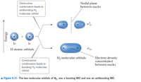 Answered: Nodal plane between nuclei Destructive… | bartleby