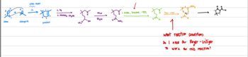 Answered: diene diels - Aider →눈 product… | bartleby