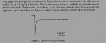 You discover a new species of poison-dart frog which secretes a neurotoxin in the skin mucous
with LD50 of 0.5 mg/kg in humans. The toxin causes numbness, paralysis, arrhythmias, cardiac
failure, and death. Based on the patch-clamp record of inward currents when the neurotoxin was
applied to squid axon shown in Figure 2, suggest the mechanism of action of the neurotoxin.
500 PA
5 ms
Figure 2 (Source: Google image)