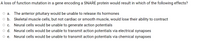 A loss of function mutation in a gene encoding a SNARE protein would result in which of the following effects?
оа.
The anterior pituitary would be unable to release its hormones
o b. Skeletal muscle cells, but not cardiac or smooth muscle, would lose their ability to contract
O c. Neural cells would be unable to generate action potentials
d. Neural cells would be unable to transmit action potentials via electrical synapses
Neural cells would be unable to transmit action potentials via chemical synapses
O e.
