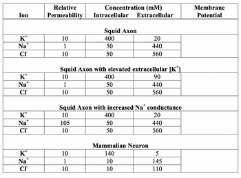 Ion
Kt
+
Na
CI™
K
Na+
CI
Kt
Nat
CI™
K+
Na
+
CI
Relative
Permeability
10
1
10
1
10
Concentration (mm)
Intracellular Extracellular
Squid Axon with elevated extracellular [K*]
10
105
10
Squid Axon
400
50
50
10
1
10
400
50
50
Squid Axon with increased Na* conductance
10
20
440
560
400
50
50
Mammalian Neuron
140
10
10
90
440
560
20
440
560
5
145
110
Membrane
Potential