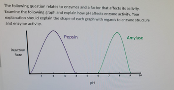 The following question relates to enzymes and a factor that affects its activity.
Examine the following graph and explain how pH affects enzyme activity. Your
explanation should explain the shape of each graph with regards to enzyme structure
and enzyme activity.
Reaction
Rate
1
2
Pepsin
3
4
5
pH
6
7
8
Amylase
9
10