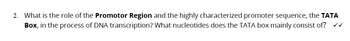 2. What is the role of the Promotor Region and the highly characterized promoter sequence, the TATA
Box, in the process of DNA transcription? What nucleotides does the TATA box mainly consist of? ✓✓