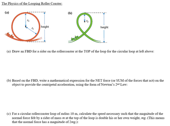 Answered The Physics of the Looping Roller bartleby