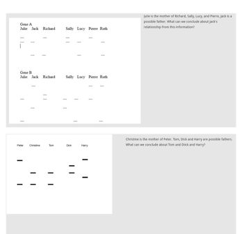 **Transcription for Educational Website**

**Image Explanation and Analysis**

The image consists of two sections that appear to be related to genetic analysis, perhaps regarding paternity or genetic inheritance patterns.

**Upper Section:**

This section includes two tables labeled as "Gene A" and "Gene B". Each table displays names along the top row: Julie, Jack, Richard, Sally, Lucy, Pierre, and Ruth. Below each name, there are dashed lines indicating genetic markers.

- **Gene A Table:**
  - The first name row is filled with dashed lines under each name.
  - The second name row includes an empty space under the name "Julie."

- **Gene B Table:**
  - This table shows dashed lines under each name with no additional markers.

The accompanying text states:

"Julie is the mother of Richard, Sally, Lucy, and Pierre, Jack is a possible father. What can we conclude about Jack's relationship from this information?"

This suggests a context of determining Jack's genetic relationship (likely paternity) to Julie's children.

**Lower Section:**

The lower section features a graphical representation of markers. The names Peter, Christine, Tom, Dick, and Harry are each aligned over columns with horizontal lines representing genetic markers.

- The arrangement and length of lines vary, suggesting differences in genetic markers.
- Suggests a comparison or analysis to determine genetic connections.

The accompanying text states:

"Christine is the mother of Peter. Tom, Dick, and Harry are possible fathers. What can we conclude about Tom, Dick, and Harry?"

This context suggests an analysis to identify which of the possible fathers (Tom, Dick, or Harry) matches Peter's genetic markers, determining paternity.

**Conclusion:**

The diagrams and explanations focus on inferring genetic relationships using genetic markers, possibly in a lesson on genetics, inheritance, or DNA analysis. The emphasis lies in identifying parental relationships through genetic comparison.