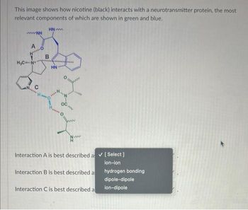 This image shows how nicotine (black) interacts with a
relevant components of which are shown in green and blue.
HN
wwNH
A
MC
H₂C N
с
B
'O
HN
H
N
OG
H... O
Interaction A is best described as ✔ [ Select]
ion-ion
Interaction B is best described as
hydrogen bonding
dipole-dipole
ion-dipole
Interaction C is best described a
neurotransmitter protein, the most