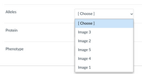 Alleles
[ Choose ]
[ Choose ]
Protein
Image 3
Image 2
Phenotype
Image 5
Image 4
Image 1
>
