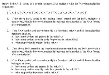 Answered: Below is the 5'-3' strand of a… | bartleby