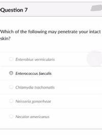 Question 7
Which of the following may penetrate your intact
skin?
Enterobius vermicularis
Enterococcus faecalis
Chlamydia trachomatis
O Neisseria gonorrheae
Necator americanus
