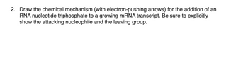 **Question 2:**

Draw the chemical mechanism (with electron-pushing arrows) for the addition of an RNA nucleotide triphosphate to a growing mRNA transcript. Be sure to explicitly show the attacking nucleophile and the leaving group.