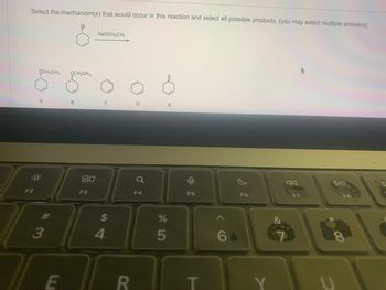Select the mechanism(s) that would occur in this reaction and select all possible products. (you may select multiple answers)
F2
OCH₂CH3 OCH₂C
3
E
80
F3
NaOCH₂CH₂
U
$
4
R
D
F4
95
%
F5
T
6
F6
F7
DIL
00
F8