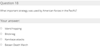 Question 18
What important strategy was used by American forces in the Pacific?
Your answer:
O Island hopping
O Blitzkrieg
Kamikaze attacks
Bataan Death March
