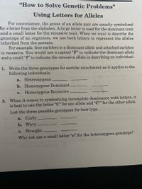 "How to Solve Genetic Problems"
Using Letters for Alleles
For convenience, the genes of an allele pair are usually symbolized
by a letter from the alphabet. A large letter is used for the dominant trait
and a small letter for the recessive trait. When we want to describe the
genotype of an organism, we use both letters to represent the alleles
inherited from the parents.
For example, free earlobes is a dominant allele and attached earlobes
is recessive. You would use a capital "F" to indicate the dominant allele
and a small “f" to indicate the recessive allele in describing an individual.
1. Write the three genotypes for earlobe attachment as it applies to the
following individuals.
a. Heterozygous
b. Homozygous Dominant
c. Homozygous Recessive
2. When it comes to symbolizing incomplete dominance with letters, it
is best to use the letter "C" for one allele and "C'" for the other allele.
List the three possible genotypes for hair type.
a. Curly
b. Wavy
c. Straight.
Why not use a small letter “c" for the heterozygous genotype?
