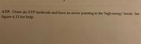 ATP. Draw an ATP molecule and have an arrow pointing to the 'high-energy' bonds. See
figure 6.13 for help.
