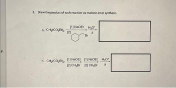 2. Draw the product of each reaction via malonic ester synthesis.
a. CH2(CO,Et)2
[1] NaOEt H₂O+
A
[2]
b. CH₂(CO₂Et)₂ [1] NaOEt
[2] CH₂Br
Br
[1] NaOEt H₂O+
[2] CH₂Br
A