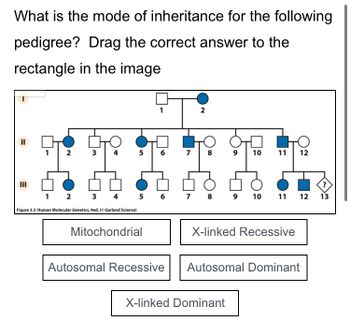 Answered: What is the mode of inheritance for the… | bartleby