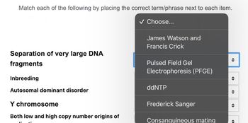 Match each of the following by placing the correct term/phrase next to each item.
Choose...
Separation of very large DNA
fragments
Inbreeding
Autosomal dominant disorder
Y chromosome
Both low and high copy number origins of
James Watson and
Francis Crick
Pulsed Field Gel
Electrophoresis (PFGE)
ddNTP
Frederick Sanger
Consanguineous mating
→
<>