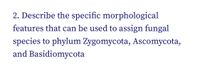 2. Describe the specific morphological
features that can be used to assign fungal
species to phylum Zygomycota, Ascomycota,
and Basidiomycota
