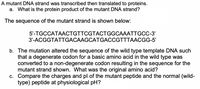 A mutant DNA strand was transcribed then translated to proteins.
a. What is the protein product of the mutant DNA strand?
The sequence of the mutant strand is shown below:
5'-TGCCATAACTGTTCGTACTGGCAAATTGCC-3'
3'-ACGGTATTGACAAGCATGACCGTTTAACGG-5'
b. The mutation altered the sequence of the wild type template DNA such
that a degenerate codon for a basic amino acid in the wild type was
converted to a non-degenerate codon resulting in the sequence for the
mutant strand shown. What was the original amino acid?
c. Compare the charges and pl of the mutant peptide and the normal (wild-
type) peptide at physiological pH?
