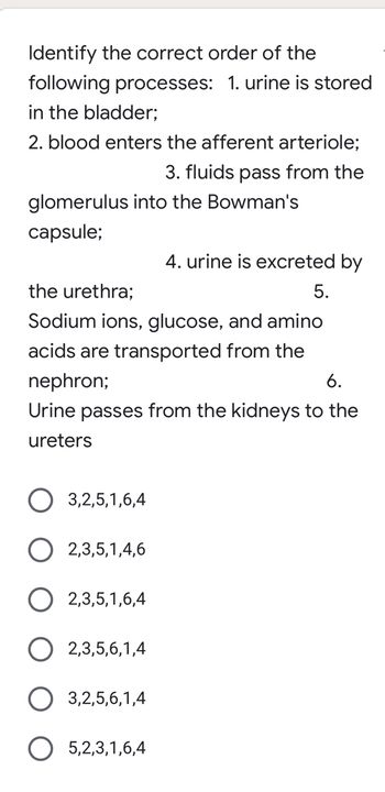 Identify the correct order of the
following processes: 1. urine is stored
in the bladder;
2. blood enters the afferent arteriole;
3. fluids pass from the
glomerulus into the Bowman's
capsule;
4. urine is excreted by
the urethra;
5.
Sodium ions, glucose, and amino
acids are transported from the
nephron;
6.
Urine passes from the kidneys to the
ureters
O 3,2,5,1,6,4
O 2,3,5,1,4,6
O 2,3,5,1,6,4
2,3,5,6,1,4
O 3,2,5,6,1,4
O 5,2,3,1,6,4