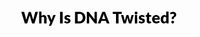 Why Is DNA Twisted?
