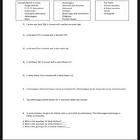 Concepts/Words to know:
Gregor Mendel
P, F1, F2 Generations
Homozygous
Pea Plants
Dominant and recessive
Genetic disorders
Autosomal
X-linked recessive
Codominant
X-linked
Carrier
Blood Types and transfusions
Pedigrees
Punnett Square
Incomplete Dominance
Hemophilia
Heterozygous
Allele
1) A green pea plant (Gg) is crossed with a yellow pea plant (gg).
2) A tall plant (TT) is crossed with a tall plant (Tt).
3) A tall plant (Tt) is crossed with a short plant (tt).
4) A red flower (Rr) is crossed with a white flower (rr).
5) A white flower (rr) is crossed with a white flower (rr).
6. A homozygous dominant brown mouse is crossed with a heterozygous brown mouse (tan is the recessive color).
7. Two heterozygous white (brown fur is recessive) rabbits are crossed.
8. In some chickens, the gene for feather color is controlled by codiminance. The heterozygous phenotype is
known as erminette.
a. What is the genotype for black chickens?
b. What is the genotype for white chickens?
c. What is the genotype for erminette chickens?
