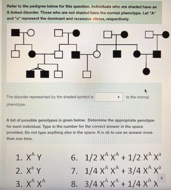 Refer to the pedigree below for this question. Individuals who are shaded have an
X-linked disorder. Those who are not shaded have the normal phenotype. Let "A"
and "a" represent the dominant and recessive alleles, respectively.
The disorder represented by the shaded symbol is
phenotype.
to the normal
A list of possible genotypes is given below. Determine the appropriate genotype
for each individual. Type in the number for the correct answer in the space
provided. Do not type anything else in the space. It is ok to use an answer more
than one time.
1. XÂY
2. Xa Y
3. XA XA
AVA
6. 1/2 XA XA + 1/2 X X³
7. 1/4 X^ X^ + 3/4 X^ X®
xả
A
?
8. 3/4 XA XA + 1/4 XA X