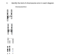 Identity the kind of chromosome error in each alagram.
Chromosomal Error
4.
