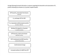 Arrange following the boxed information in sequence regarding the dissociation and reassociation of G
proteins following the activation of a G protein coupled receptor.
GTP-bound Ga, dissociates from B and y
cuhunits
Gas exchanges GTP for GDP
Gas reassociates with By subunits and the
rorentor reforms
Binding of the ligand to a G-protein
rounled recentor
GTP-bound Gas binds and activates
adenvlul rurlase
GTP is hydrolyzed and GDP bound Gas
suhunit dissoriates
Conformational change
Increased synthesis of CAMP from ATP
