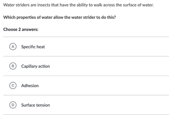 Water striders are insects that have the ability to walk across the surface of water.
Which properties of water allow the water strider to do this?
Choose 2 answers:
B
Specific heat
Capillary action
Adhesion
Surface tension