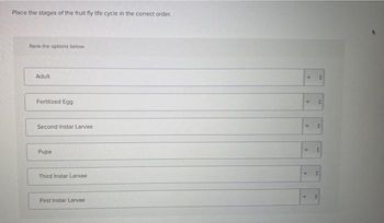 Place the stages of the fruit fly life cycle in the correct order.
Rank the options below.
Adult
Fertilized Egg
Second Instar Larvae
Pupa
Third Instar Larvae.
First Instar Larvae
>>
Sh