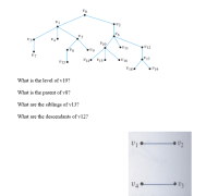 vo
v5
V10
V12
V17
v7
•V16
v13
V 19
What is the level of v19?
What is the parent of v8?
What are the siblings of v13?
What are the descendants of v12?
