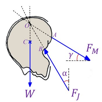 C*
W
B.
Y
a¦
Fj
FM