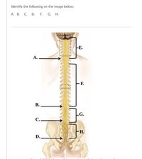 Identify the following on the image below:
А. В. С. D. F. G. H.
FE.
А.
F.
В.
G.
С.
H.
D.
